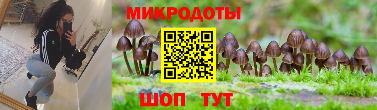 Галлюциногенные грибы Psilocybine cubensis  Вход с VPN  продажа наркотиков  Лысьва 